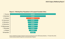 Calgary Wellbeing Report